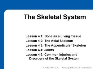 Lesson 4.1 anatomical structure of a long bone
