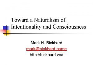 What is naturalism