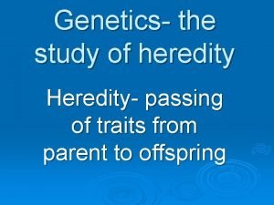 Genetics the study of heredity Heredity passing of