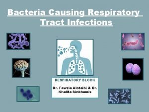 Bacteria Causing Respiratory Tract Infections RESPIRATORY BLOCK Dr