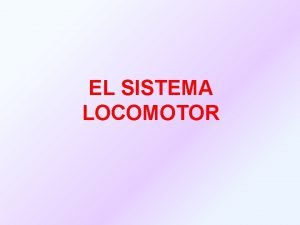 EL SISTEMA LOCOMOTOR El sistema locomotor se encarga