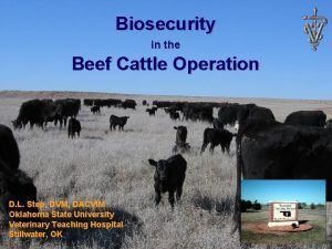 Biosecurity in the Beef Cattle Operation D L