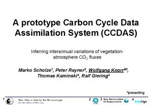 A prototype Carbon Cycle Data Assimilation System CCDAS