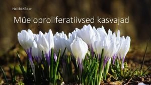 Halliki Kdar Meloproliferatiivsed kasvajad Meeldetuletuseks Vereja lmfissteemi haigused