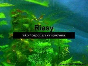 Riasy ako hospodrska surovina Dominik Piem Samuel sivk