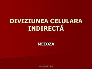 Diviziunea celulara directa