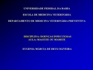 UNIVERSIDADE FEDERAL DA BAHIA ESCOLA DE MEDICINA VETERINRIA