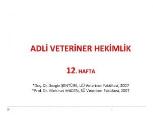ADL VETERNER HEKMLK 12 HAFTA Do Dr Sezgin