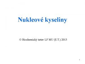 Nukleov kyseliny Biochemick stav LF MU E T