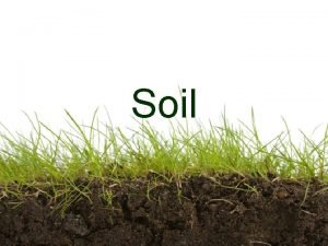 Soil We cant live without it Need fertile
