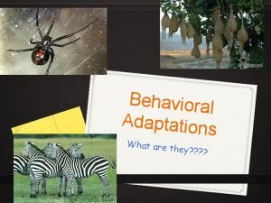 Behavioral adaptation