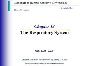 External respiration