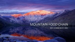 Mountain food chain Mountain food chain