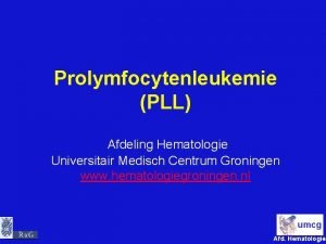 Prolymfocytenleukemie