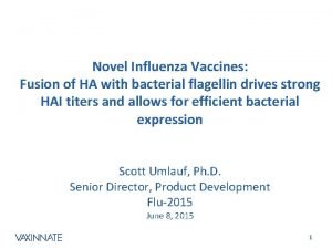 Novel Influenza Vaccines Fusion of HA with bacterial