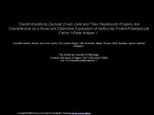 TransitAmplifying Ductular Oval Cells and Their Hepatocytic Progeny