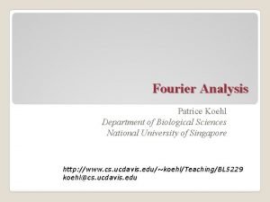 Fourier analysis