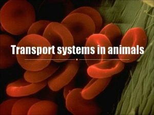 Transport systems in animals Well be discussing Functions