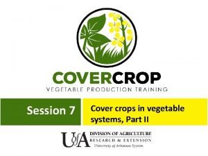 Session 7 Cover crops in vegetable systems Part