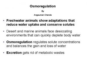 Freshwater animal adaptations