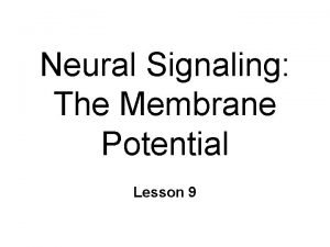 Hydrophilic heads Hydrophilic heads