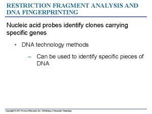 Restriction fragment analysis