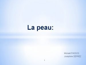 La peau Mickal PASSOS Josphine DEPREZ 1 Plan