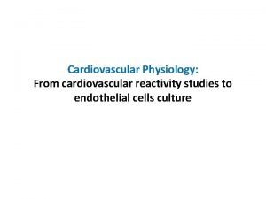 Cardiovascular Physiology From cardiovascular reactivity studies to endothelial