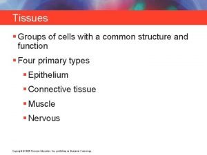 Groups of cells with a common structure and function.