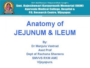 Anatomy of JEJUNUM ILEUM By Dr Manjula Vastrad