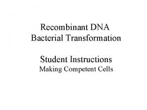 Recombinant DNA Bacterial Transformation Student Instructions Making Competent