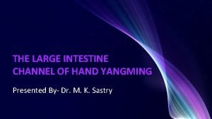 THE LARGE INTESTINE CHANNEL OF HAND YANGMING Presented
