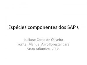 Espcies componentes dos SAFs Luciane Costa de Oliveira