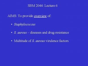 SBM 2044 Lecture 6 AIMS To provide overview