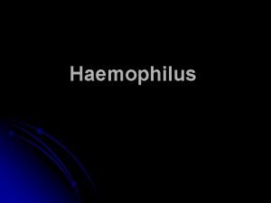 Haemophilus Haemophilus Gramnegative bacilli liking blood as per