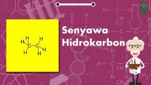 Apa yang dimaksud dengan senyawa hidrokarbon? *