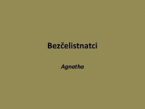 Bezelistnatci Agnatha Nadtda Agnatha bezelistnatci Chyb elisti U