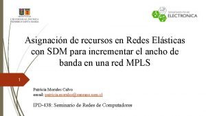 Asignacin de recursos en Redes Elsticas con SDM