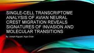 SINGLECELL TRANSCRIPTOME ANALYSIS OF AVIAN NEURAL CREST MIGRATION