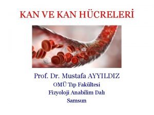 KAN VE KAN HCRELER Prof Dr Mustafa AYYILDIZ