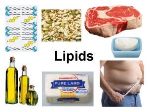 Lipids Lipids are hydrophobic or amphiphilic molecules with