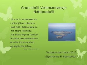 Grunnskli Vestmannaeyja Nttruskli Hn rs r sumarsnum silkimjkum