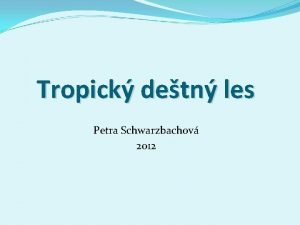 Tropick detn les Petra Schwarzbachov 2012 Zdroj http