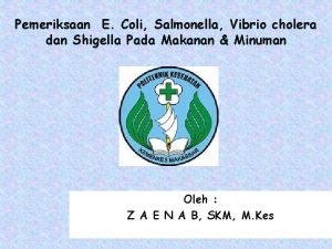Pemeriksaan E Coli Salmonella Vibrio cholera dan Shigella