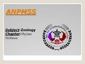 ANPMSS SubjectZoology ChapterPhylum Mollusca Phylum Mollusca Phylum Mollusca