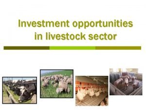 Investment opportunities in livestock sector TABLE OF CONTENTS