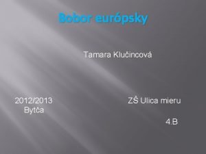Bobor eurpsky Tamara Kluincov 20122013 Z Ulica mieru