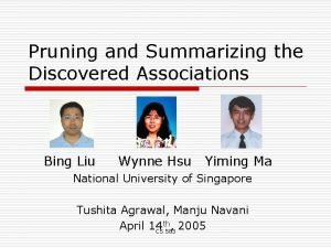 Pruning and Summarizing the Discovered Associations Bing Liu