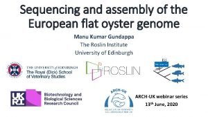 Sequencing and assembly of the European flat oyster