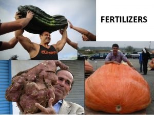 What are fertilizers